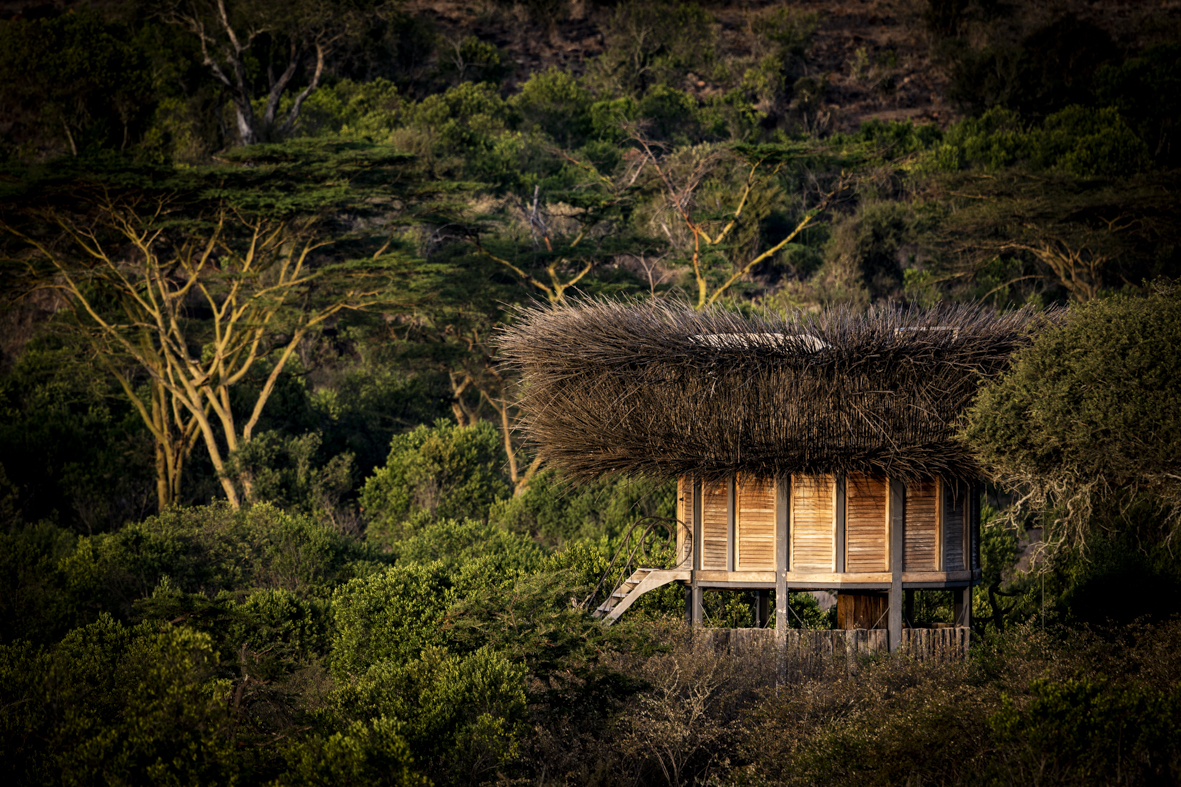 Segera Appoints IMAGINE PR as North American Public Relations Representative